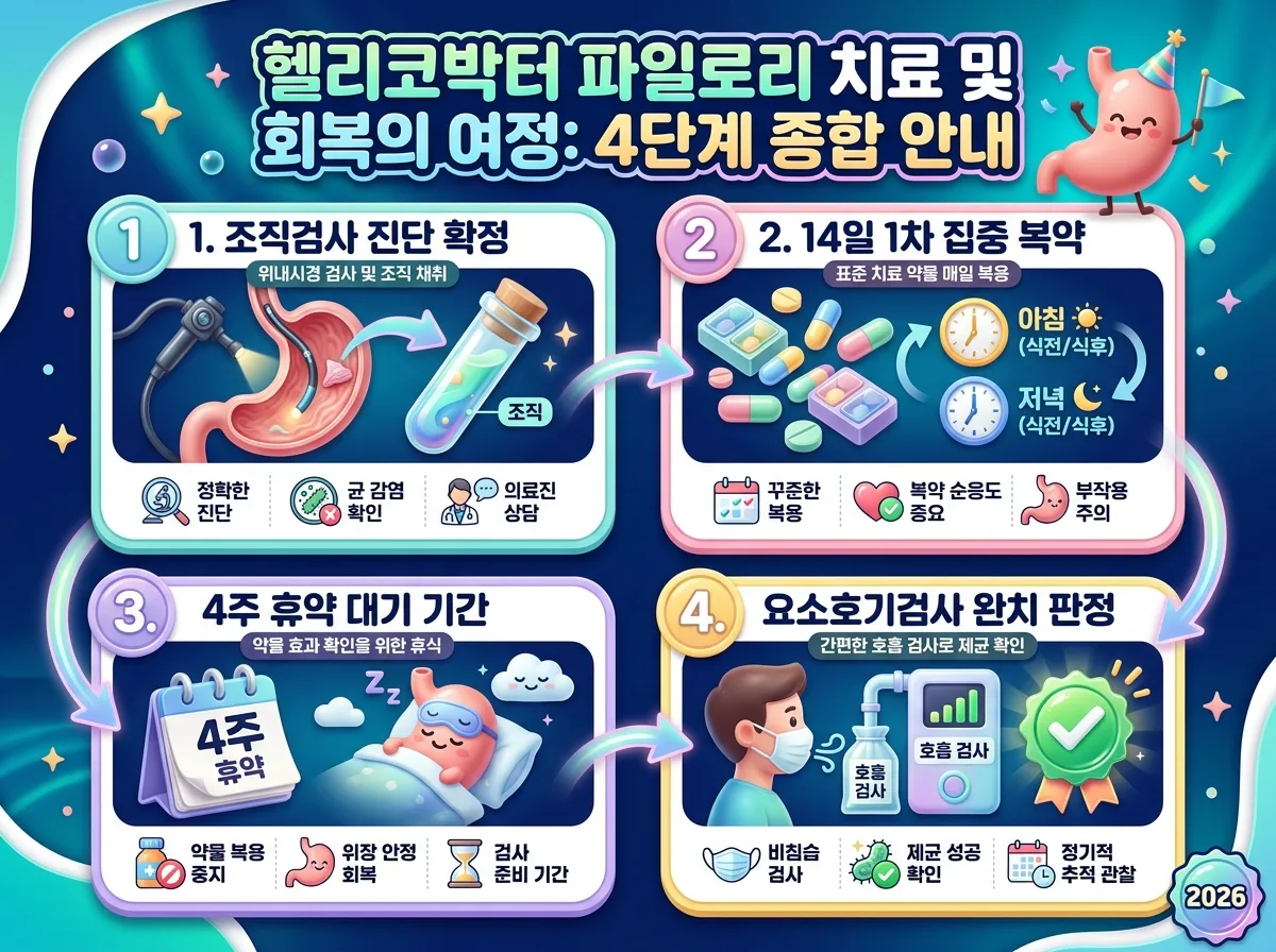 조직검사 진단부터 1차 항생제 복약과 4주 휴약 후 요소호기검사 완치 판정까지 헬리코박터 제균 치료 4단계 일정 로드맵
