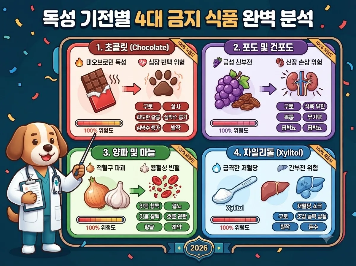 반려견에게 치명적인 초콜릿 포도 양파 자일리톨의 독성 기전과 증상을 정리한 4대 금지 식품 인포그래픽