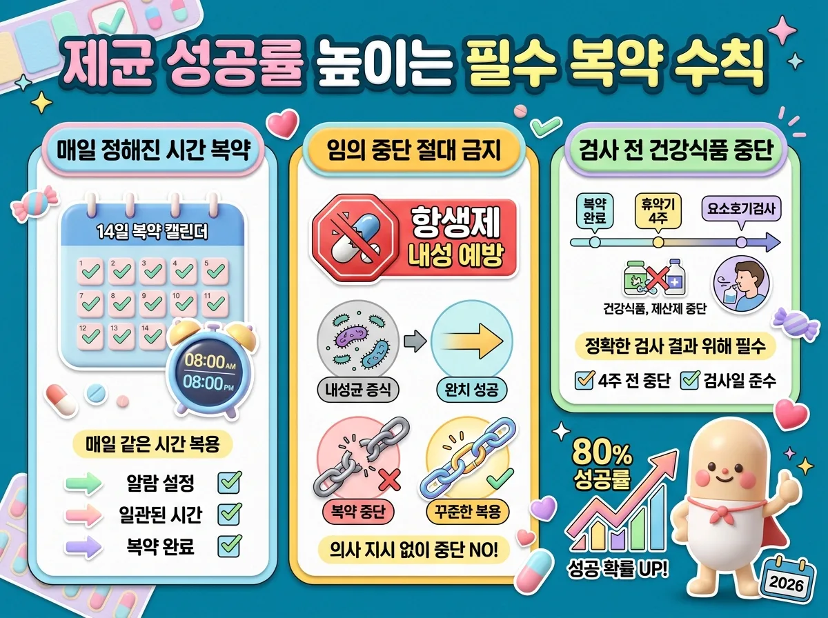 헬리코박터 제균 치료 성공률을 극대화하기 위한 정시 복약 규칙과 임의 중단 방지 핵심 체크리스트 인포그래픽