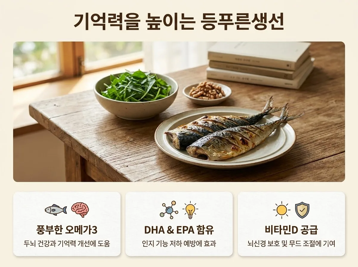 기억력을 높이는 음식 3가지와 직장인 맞춤형 2026년 두뇌 식단법
