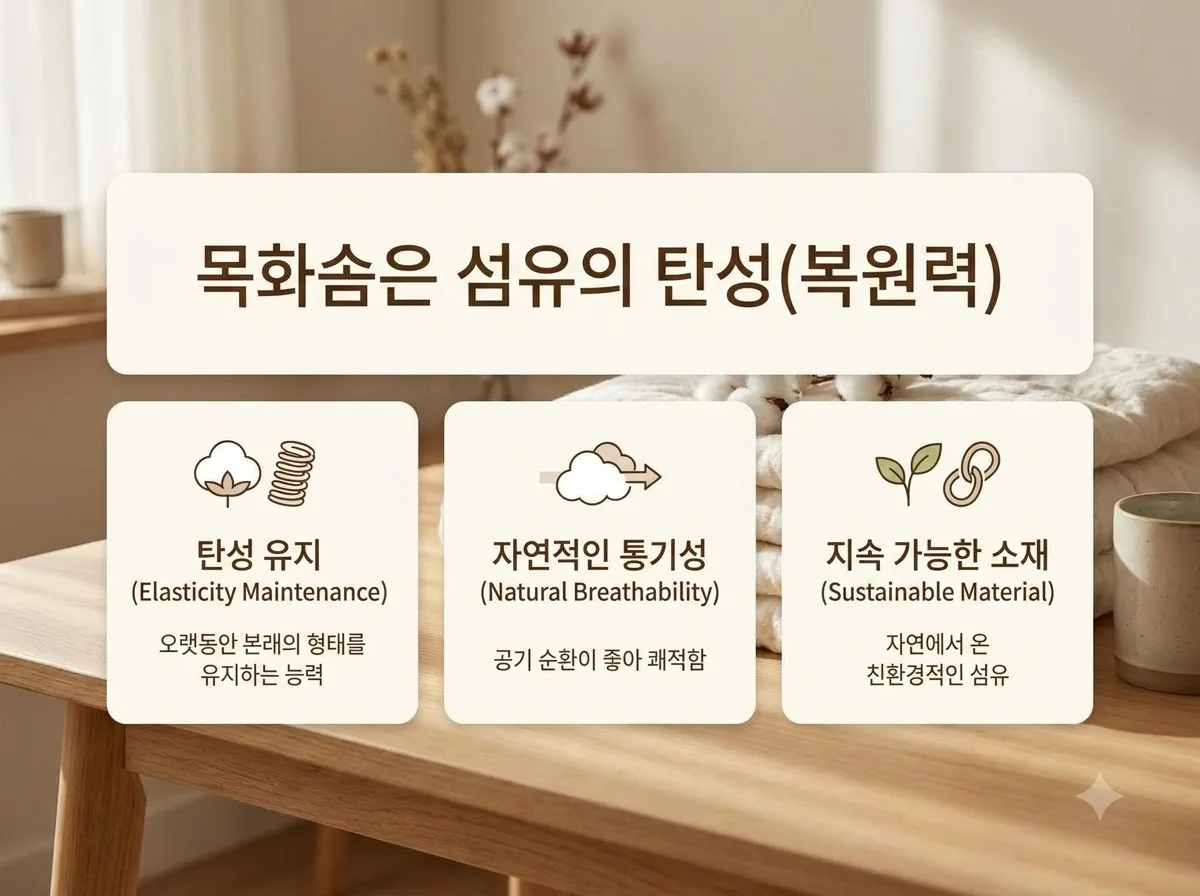 목화솜 재사용 가능한 조건 4가지와 2026년 솜틀기 시기 판단법
