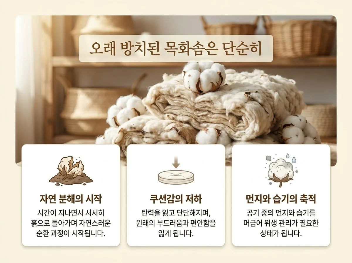 목화솜 진드기 미세먼지 제거: 2026년 세계이불 솜틀집 복원 공정 주의점
