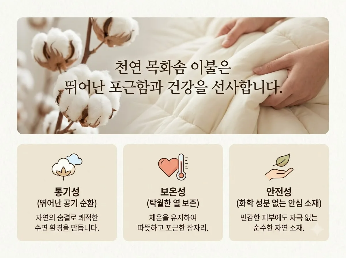 목화솜 이불 솜틀집 비용과 2026년 겨울 숙면을 위한 5가지 관리법