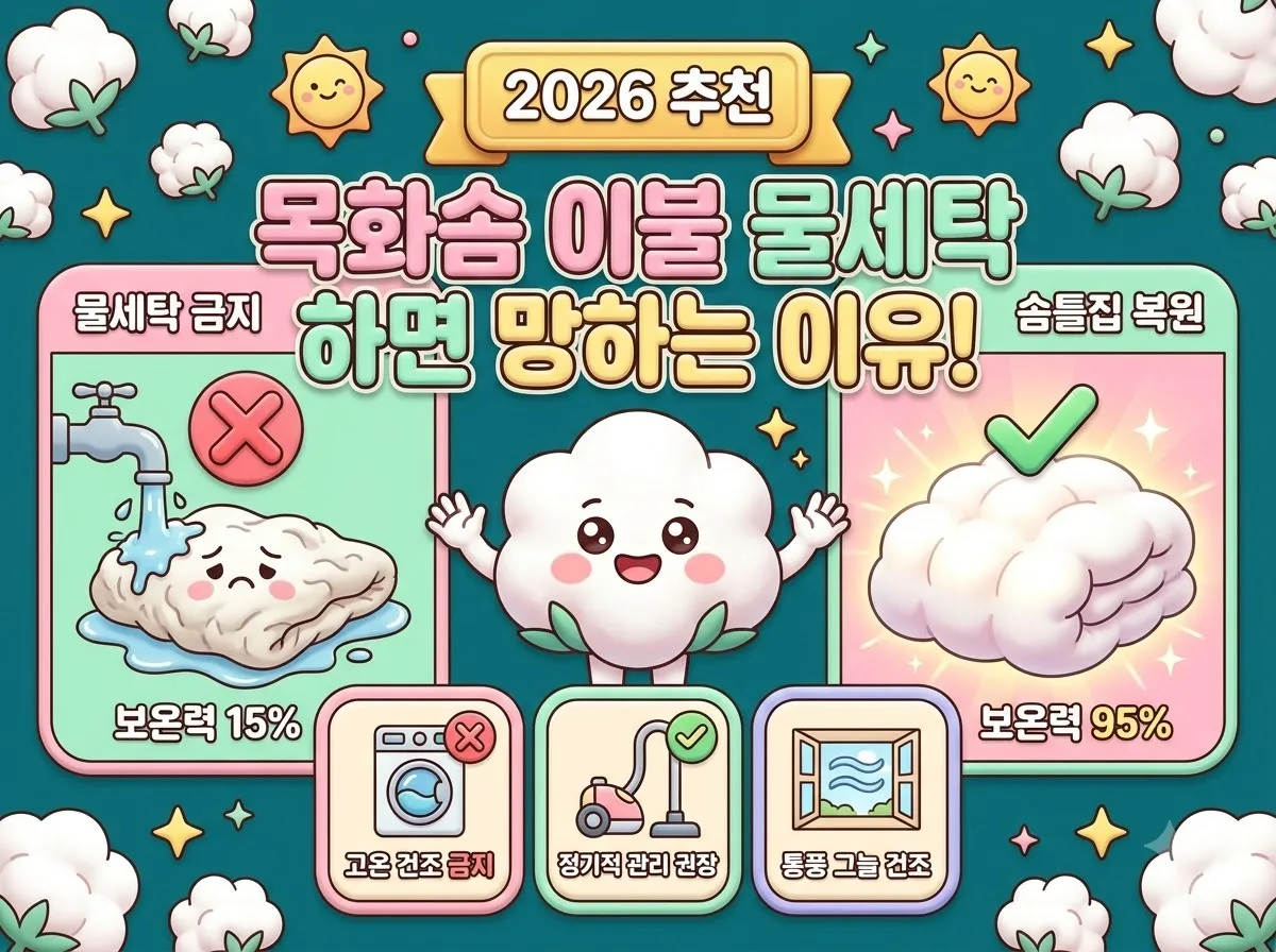 목화솜 이불 물세탁 하면 안 되는 이유와 2026년 솜틀집 관리법