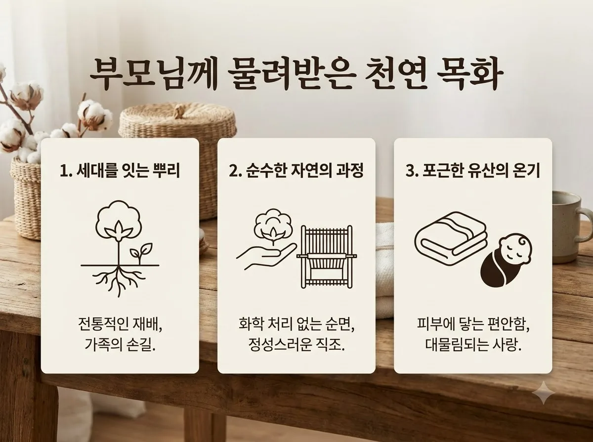 부모님께 물려받은 이불 솜틀기 비용과 2026년 업체 선정 시 주의점 3가지