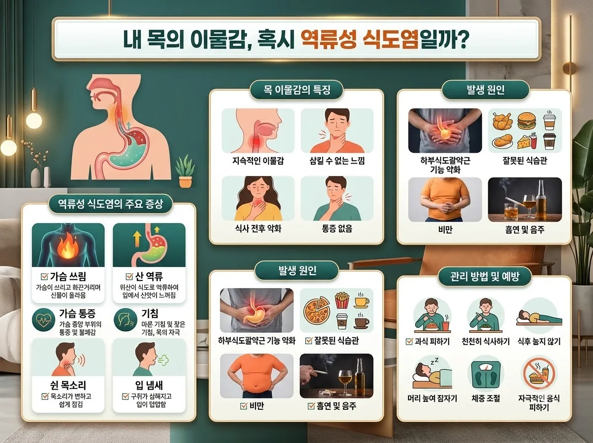 잦은 트림 목 이물감 원인, 2026년 역류성식도염 5가지 핵심 요인 이미지 2