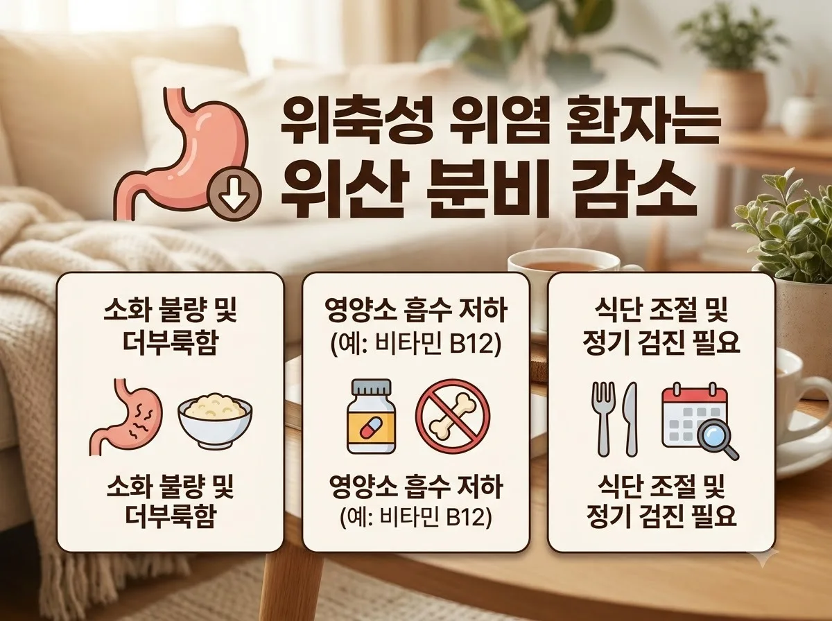 위축성 위염 오메가3 식전 식후 흡수율 차이와 2026년 필수 주의점 3가지