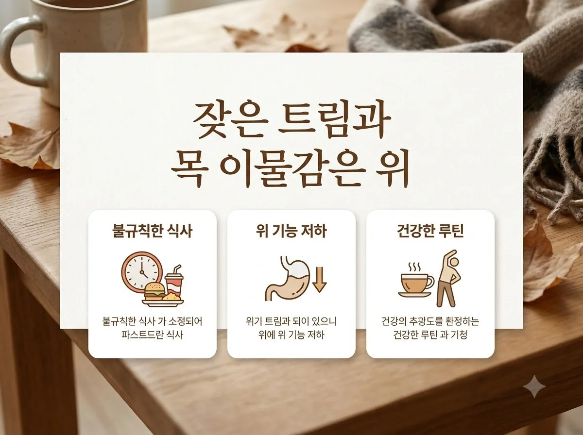잦은 트림 목 이물감 원인, 2026년 역류성식도염 5가지 핵심 요인