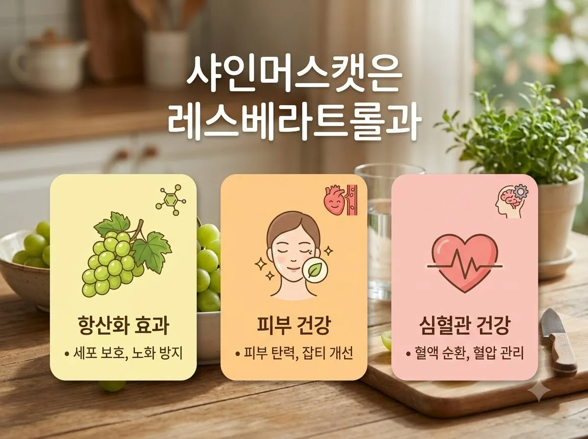 샤인머스캣 효능 5가지와 잔류 농약 걱정 없는 세척방법 2026 가이드