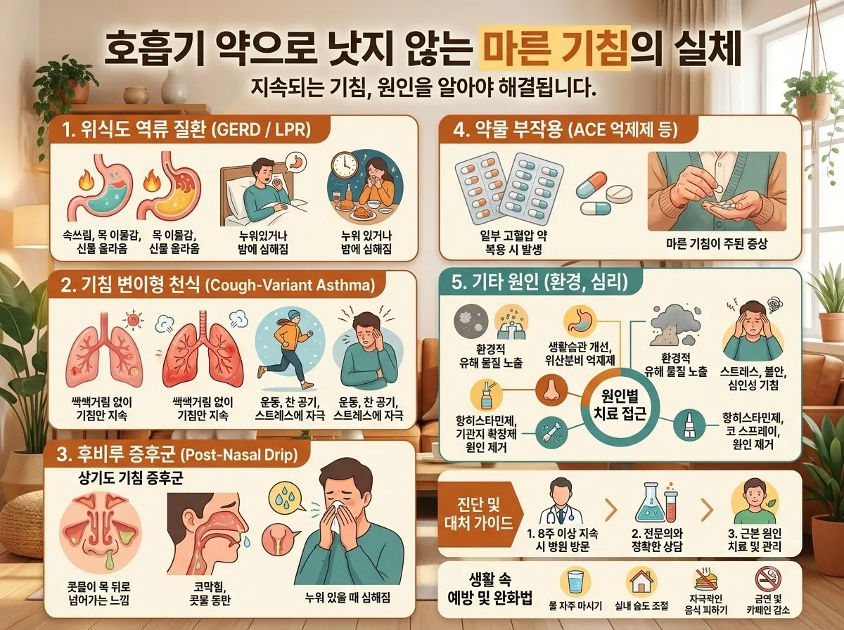 마른 기침 목 통증 원인 2026 역류성식도염 예방 및 해결 가이드 이미지 2