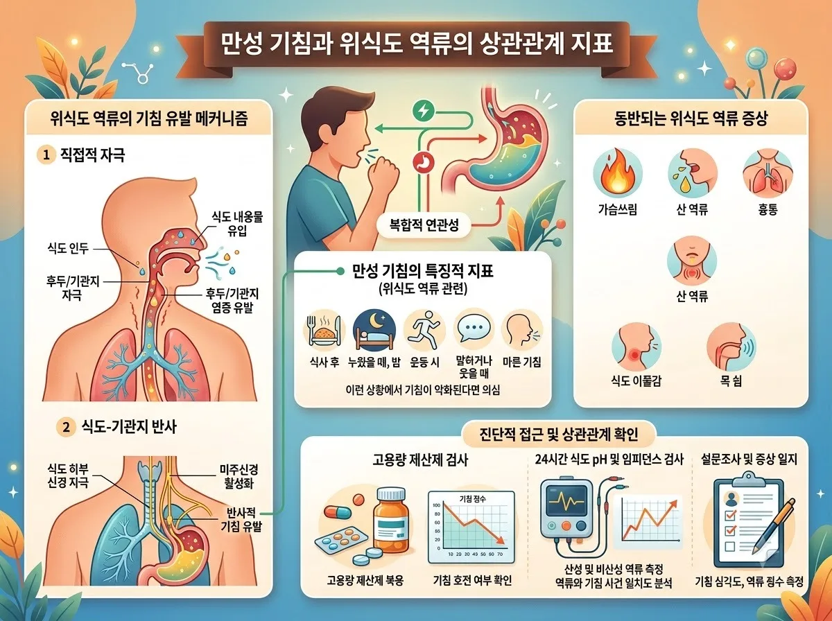 마른 기침 목 통증 원인 2026 역류성식도염 예방 및 해결 가이드 이미지 1