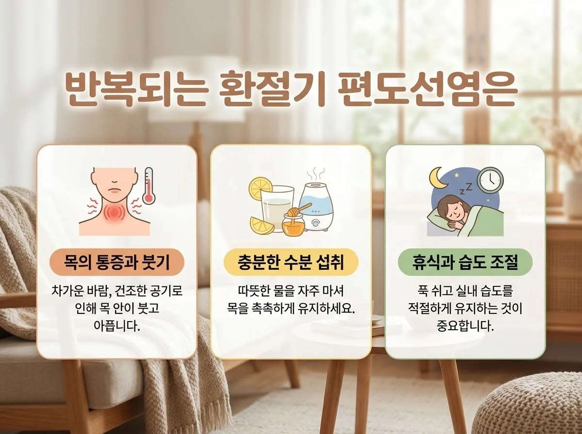 환절기 편도선염 반복될 때 체크할 5가지 생활 습관 (2026년 최신)