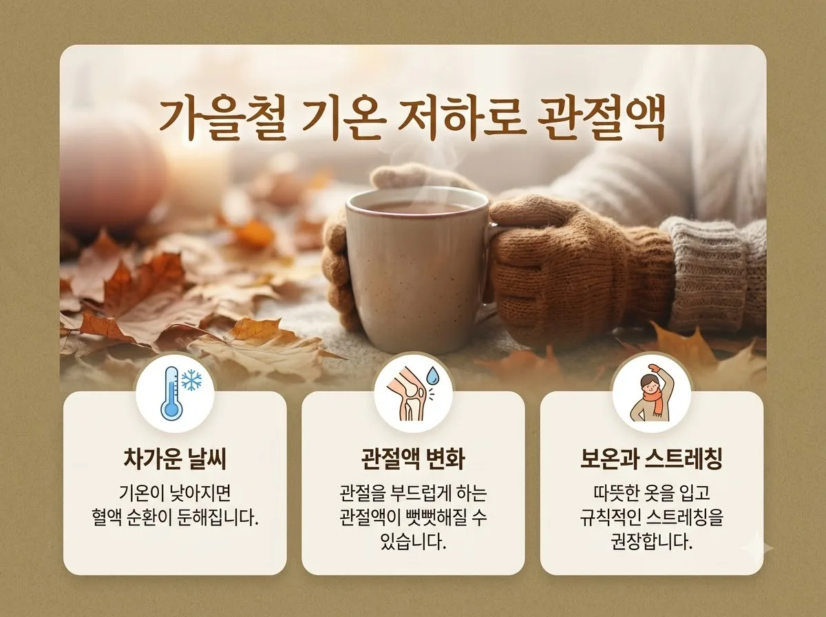 가을철 무릎 관절 소리 갑자기 심해졌다면? 2026년 꼭 확인할 5가지 증상