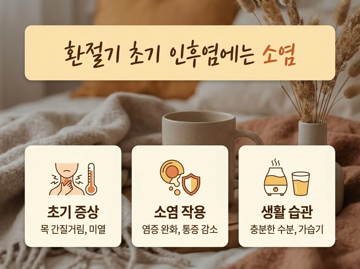 환절기 목 칼칼할 때 초기 인후염 약국 약 추천 3가지 핵심을 요약한 대표 썸네일 이미지
